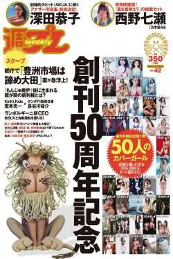 保姆与保安电视剧